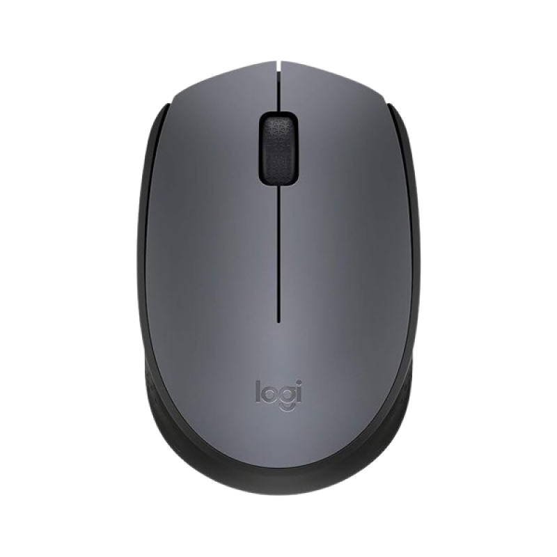 Logitech Wireless Mouse M171 | Grey