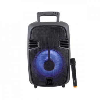 Impex Portable Speaker TS 2020 With Wireless Mic | Black