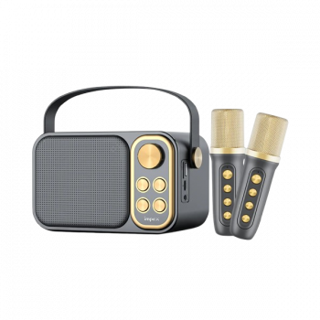 Impex Portable karaoke Speaker | with mic | KM 1302