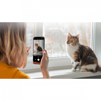 Samsung EVO Plus MicroSDXC | Class 10 | 128 GB | 160 MB s Memory Card With Adapter Samsung EVO Plus MicroSDXC | Class 10 | 128 GB | 160 MB s Memory Card With Adapter