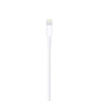 Apple Lightning to USB Cable | White | MUQW3ZM/A Apple Lightning to USB Cable | White | MUQW3ZM/A