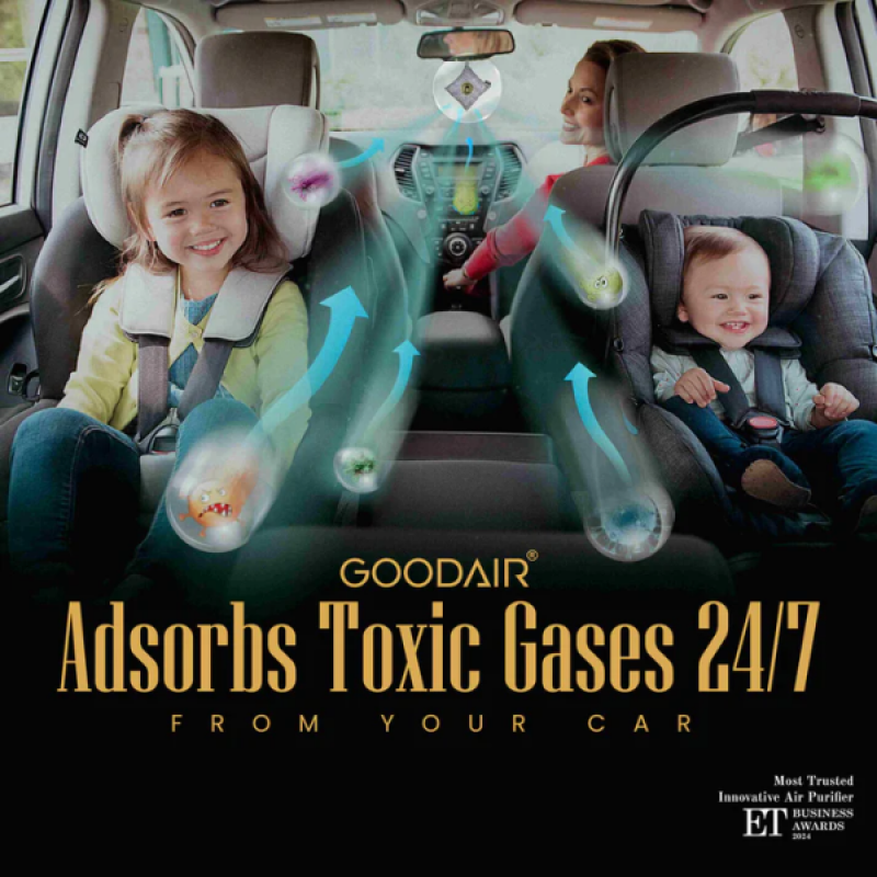Goodair Royal Car Air Purifier | Non-Electric | Elegant Silver Goodair Royal Car Air Purifier | Non-Electric | Elegant Silver