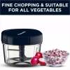 Butterfly Premium Vegetable Chopper | 600 ml Butterfly Premium Vegetable Chopper | 600 ml
