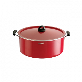 Nolta Dum Biryani Pot 16L