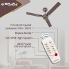 BAJAJ ENERGON PRIME Silent BLDC Ceiling Fan with remote | 5 Star |1200 mm | 3 Blade | DARK WALNUT