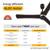 Atomberg Renesa Elite Ceiling Fan | 1200 mm | 3 Blade | BLDC Motor with Remote | Blaze Brown