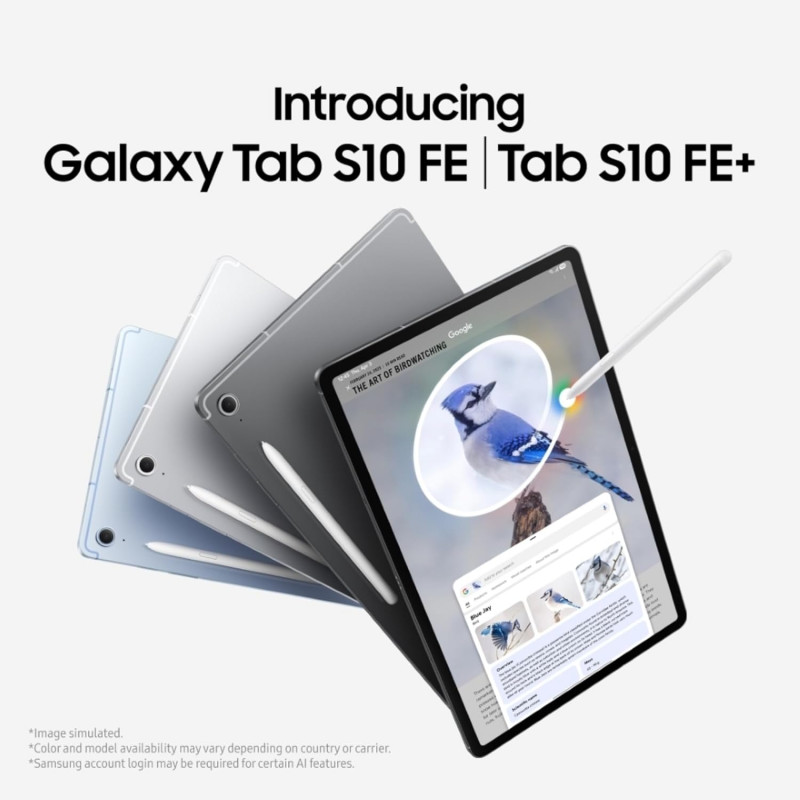 Samsung Galaxy Tab S10 FE+ Tablet | Wi-Fi Only | 12 GB | 256 GB | Gray Samsung Galaxy Tab S10 FE+ Tablet | Wi-Fi Only | 12 GB | 256 GB | Gray